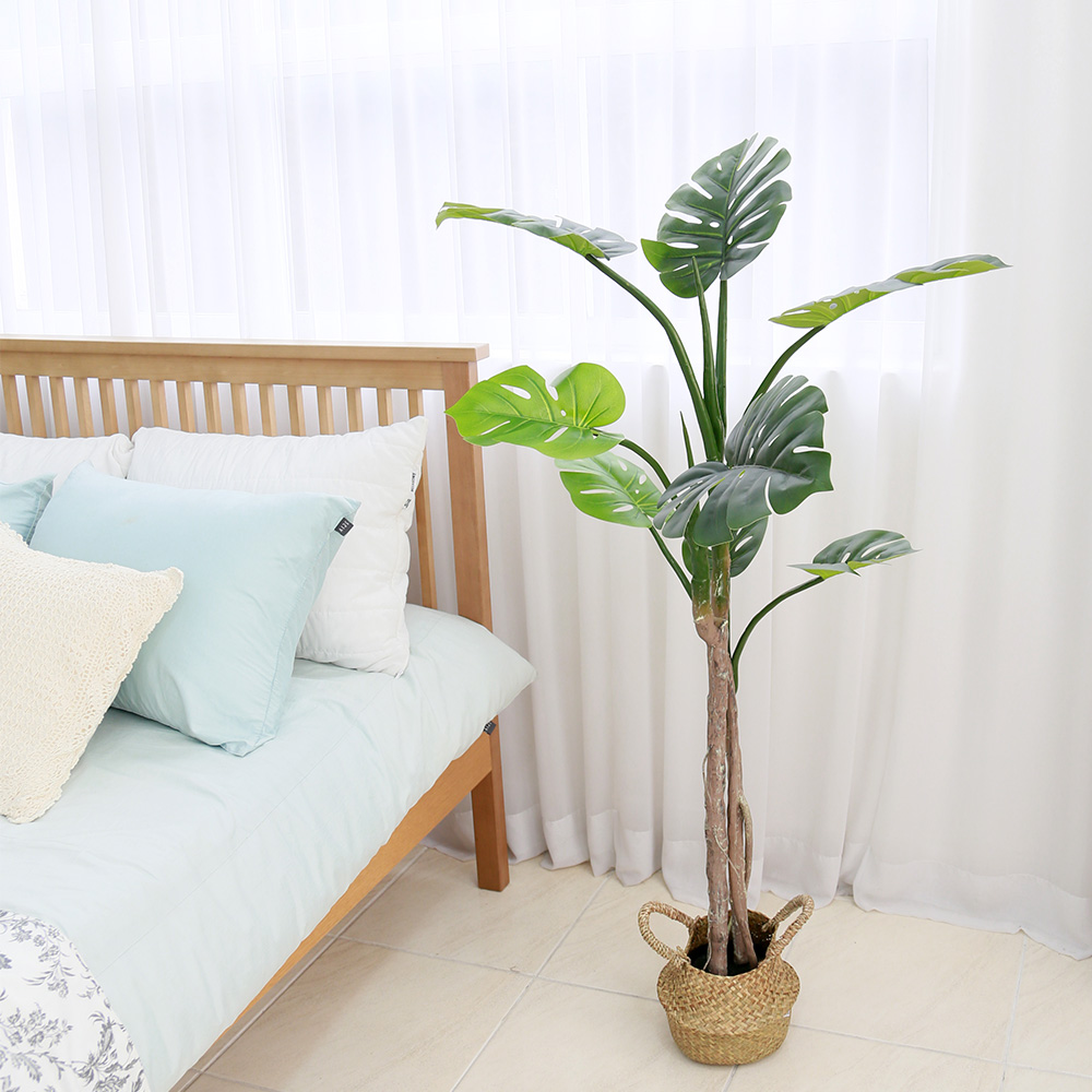 조화나무 화분 인테리어 열대 인조나무 내츄럴라인 몬스테라, 1개 39,950원