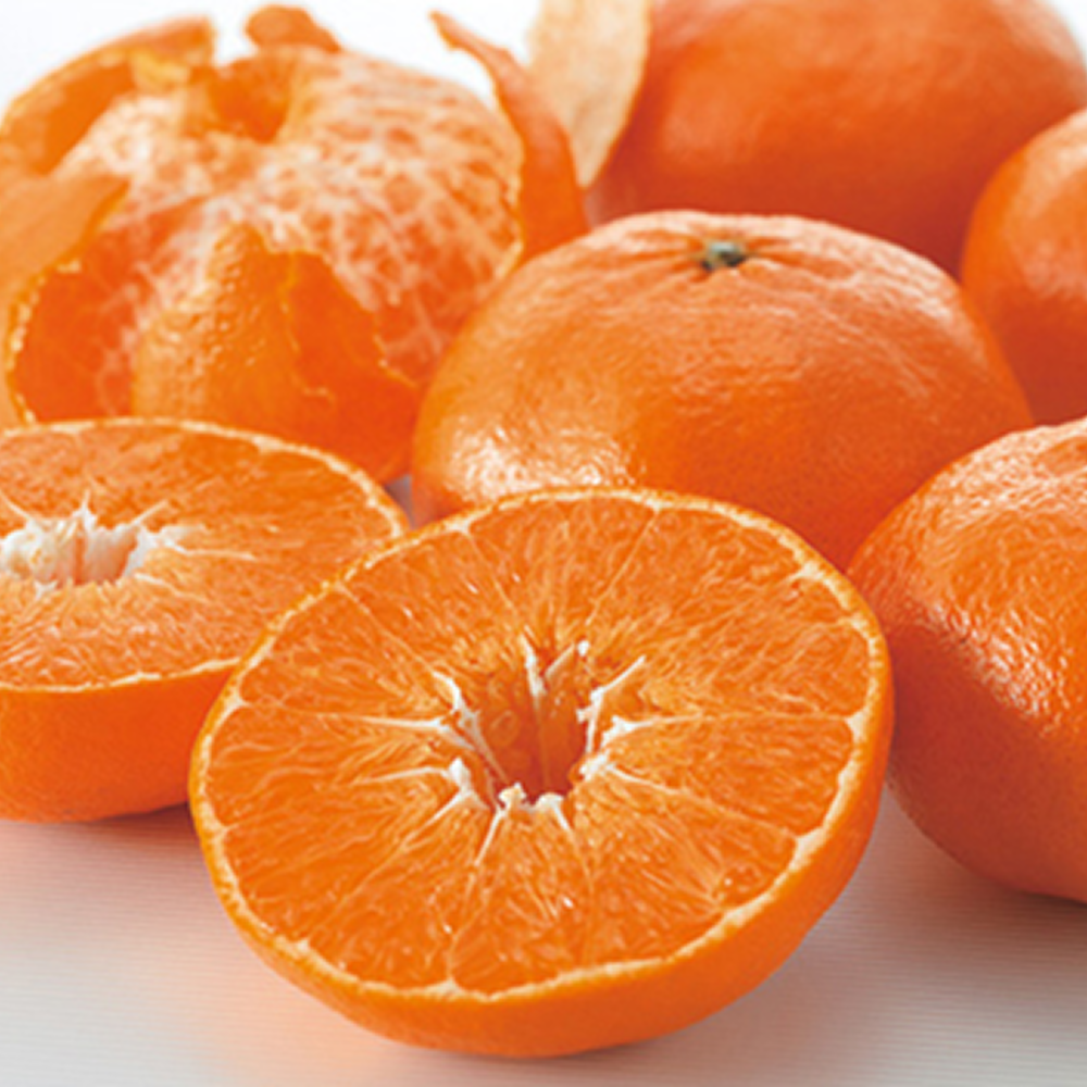 [초초특가]재구매율1위 SNS강타 미친과즙 벌꿀맛 레드향 22,050원