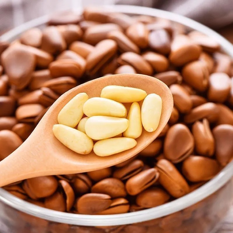 천연 잣 고급 황잣 백잣 유기농 껍질 있는 수입잣, 1개, 500g 36,900원