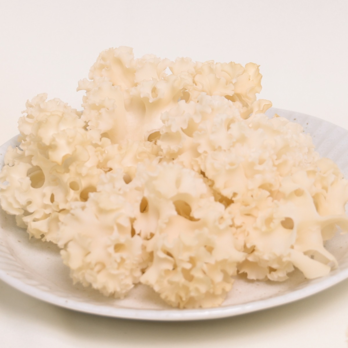 천기꽃송이버섯 생꽃송이버섯(유기농, GAP인증), 1개, 500g 32,000원