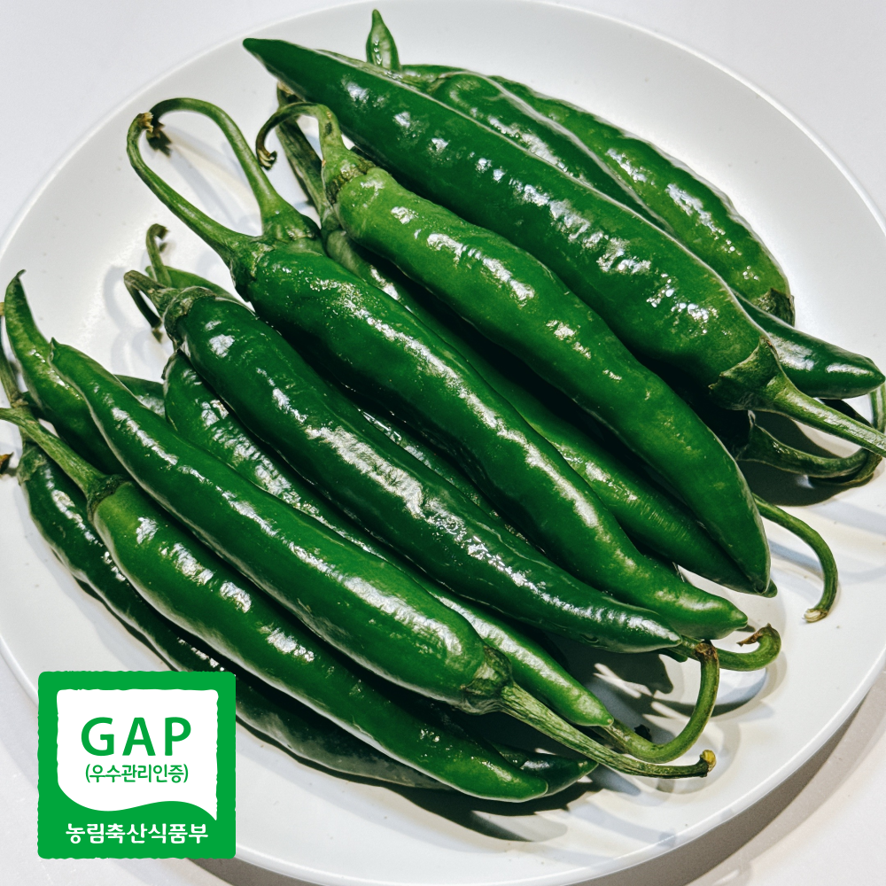 테이블센스 국내산 청양고추 가락시장 새벽경매 특특상품 53,900원