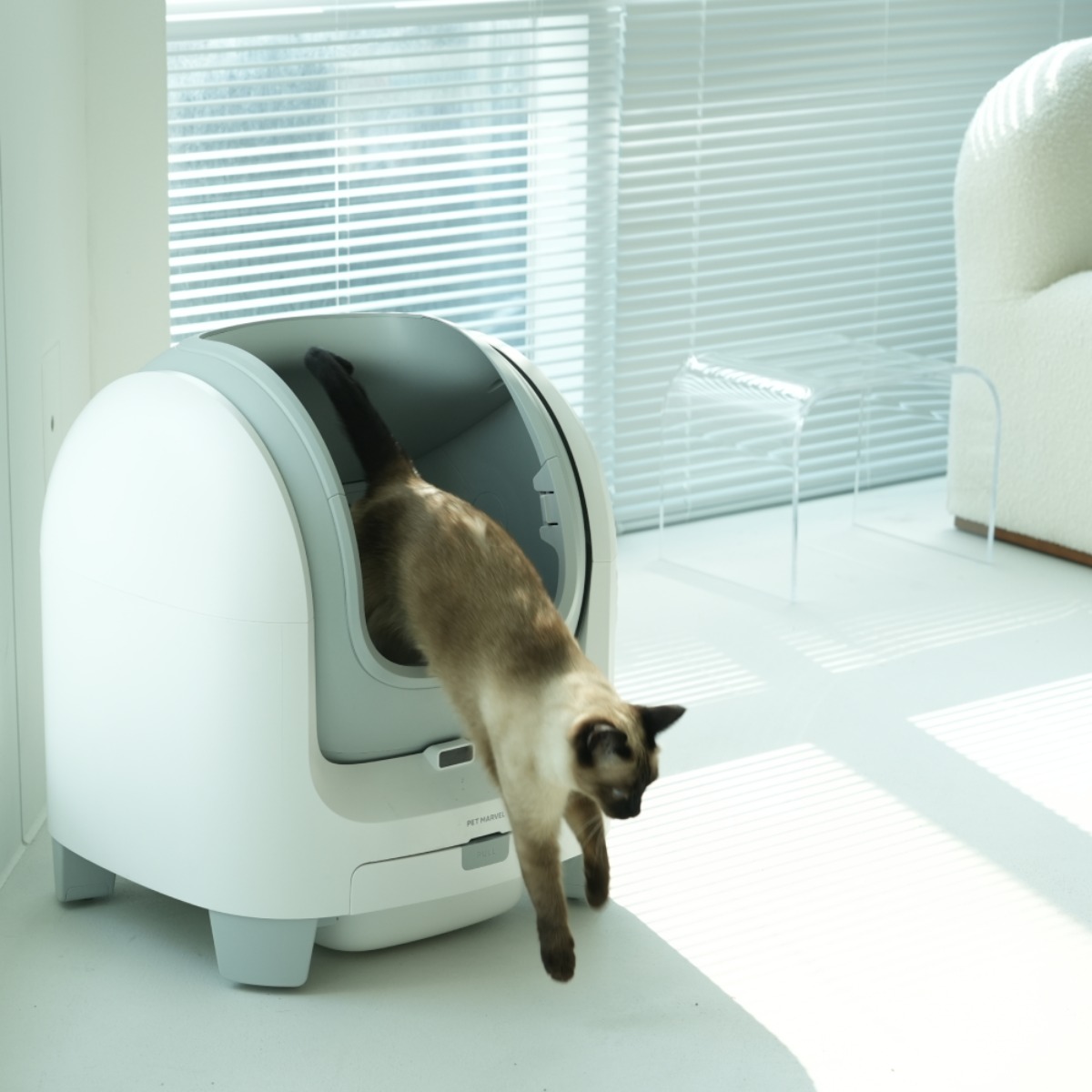 [반값행사] 펫마블 고양이 오픈형 자동화장실 + 탈취제 + 배변봉투 + 매트 세트, 스마트 안전센서 대용량 프리미엄 자동개폐 화장실 저소음 앱연동 279,900원