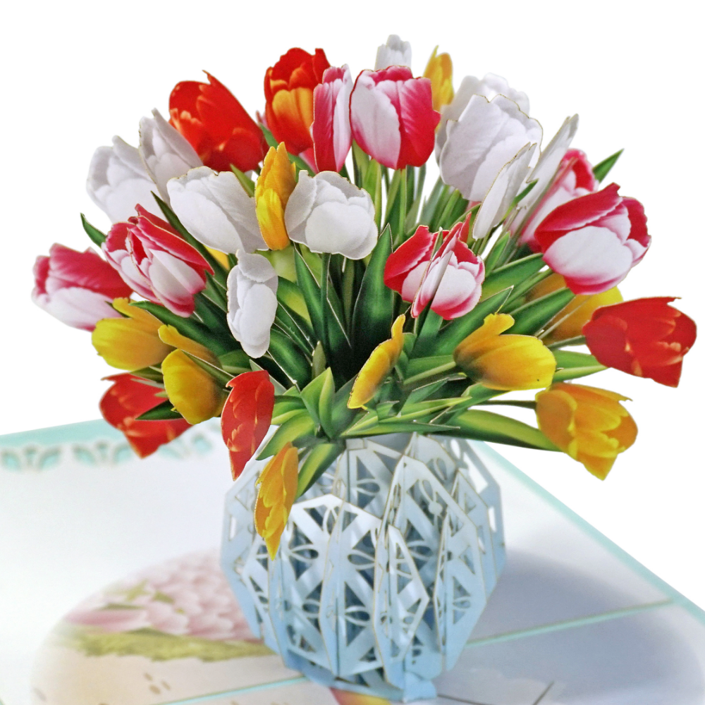 올데이해피 꽃 3D 입체 팝업 카드, 1개, 튤립 10,950원