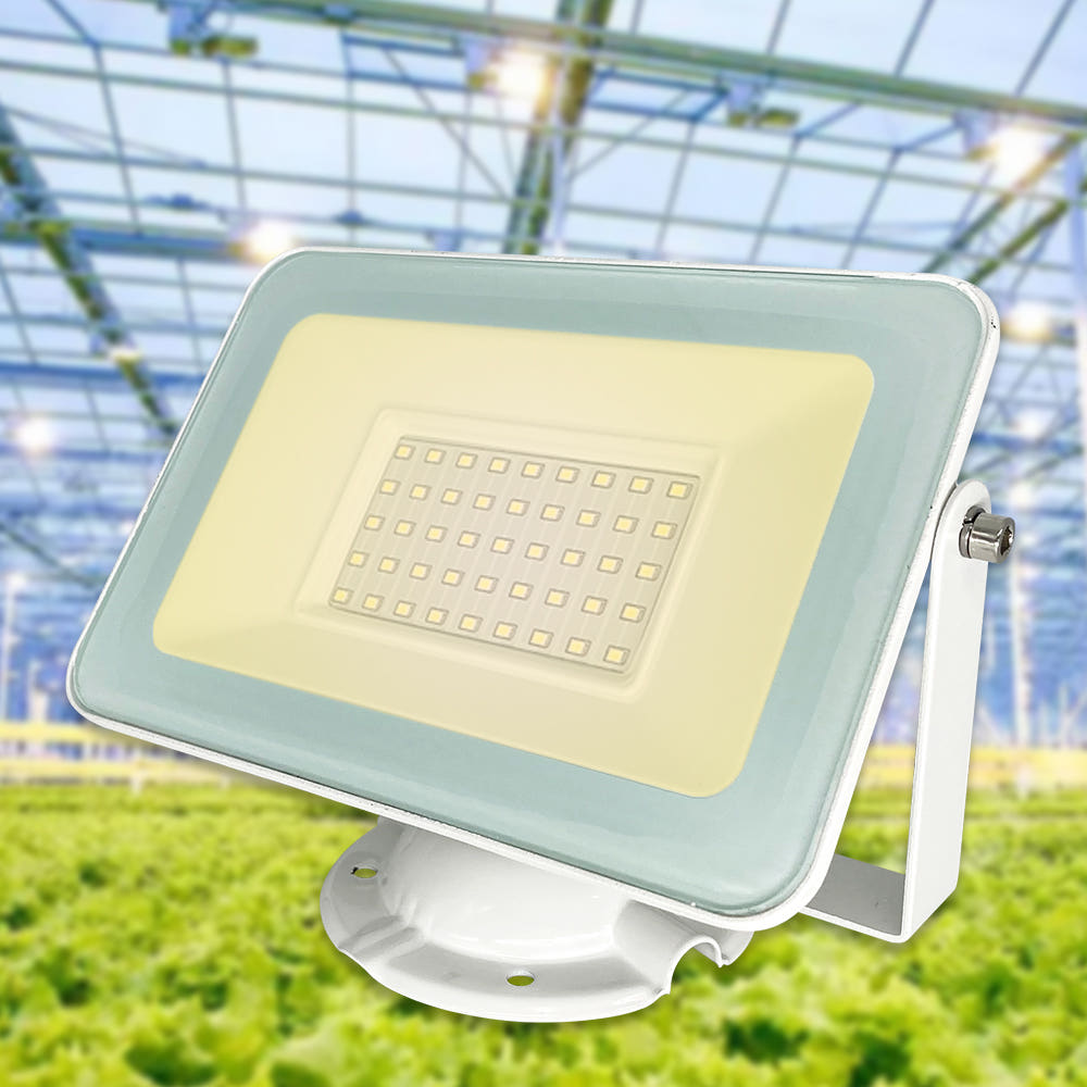 LED 식물재배용 투광기 50W PG등 식물성장램프, 1개 39,000원