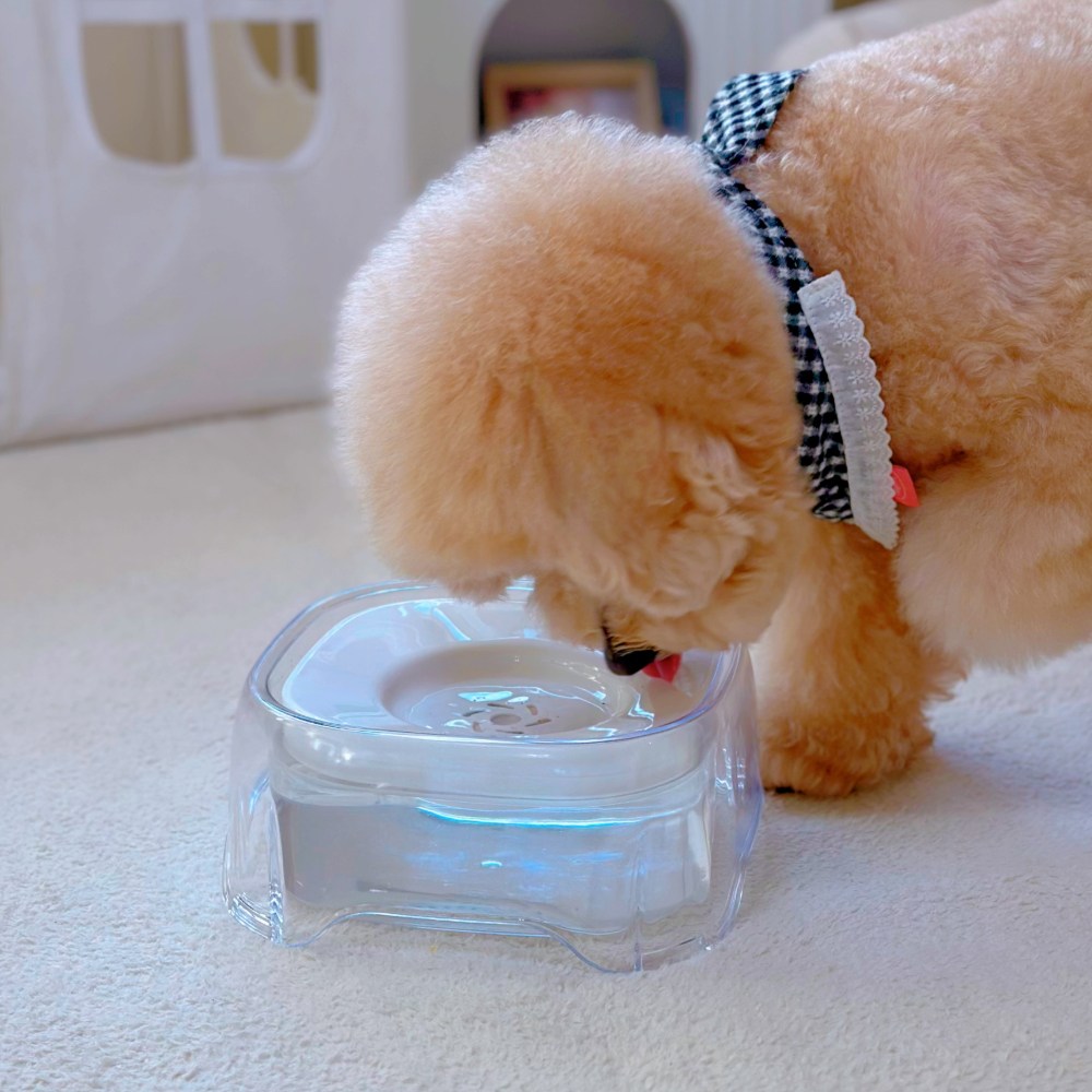 MAAH 강아지 반자동 필터형 급수기 2L 대용량 물그릇 PBW-06, 1개, 화이트 17,900원