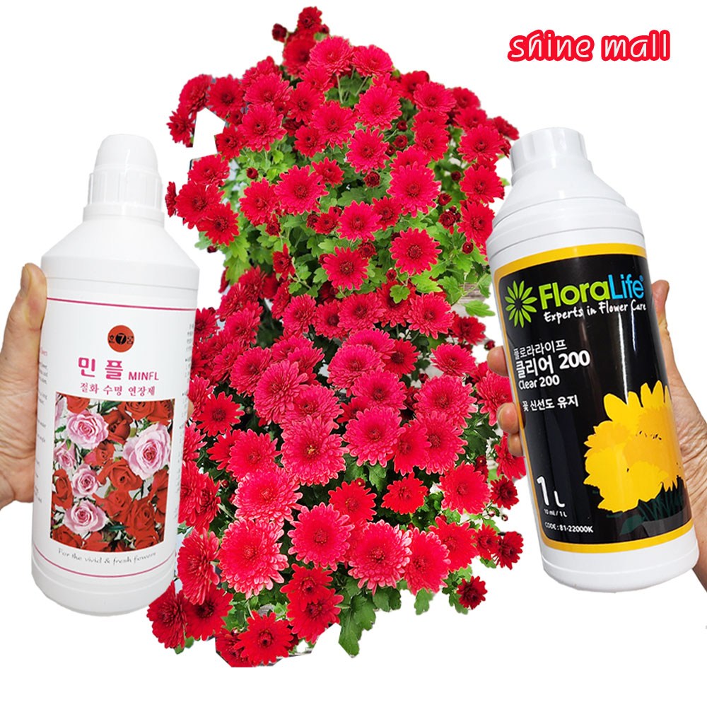 (보존제 대용량 1L 무료) 절화 생화 수명장제 2종 클리어200/민플 1개  선택/생화 꽃다발 더 오래 오래 14,500원
