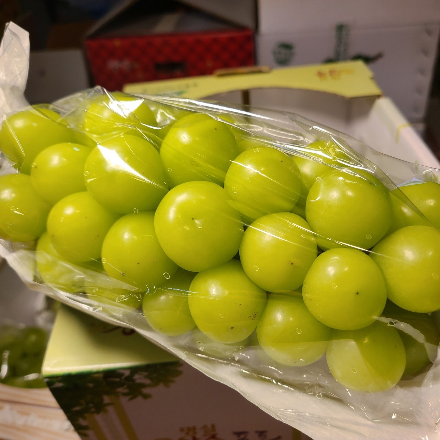 초고당도 15브릭스이상 망고포도 꿀범벅 당도선별 씨없는포도 산지직송 샤인머스켓 33,700원