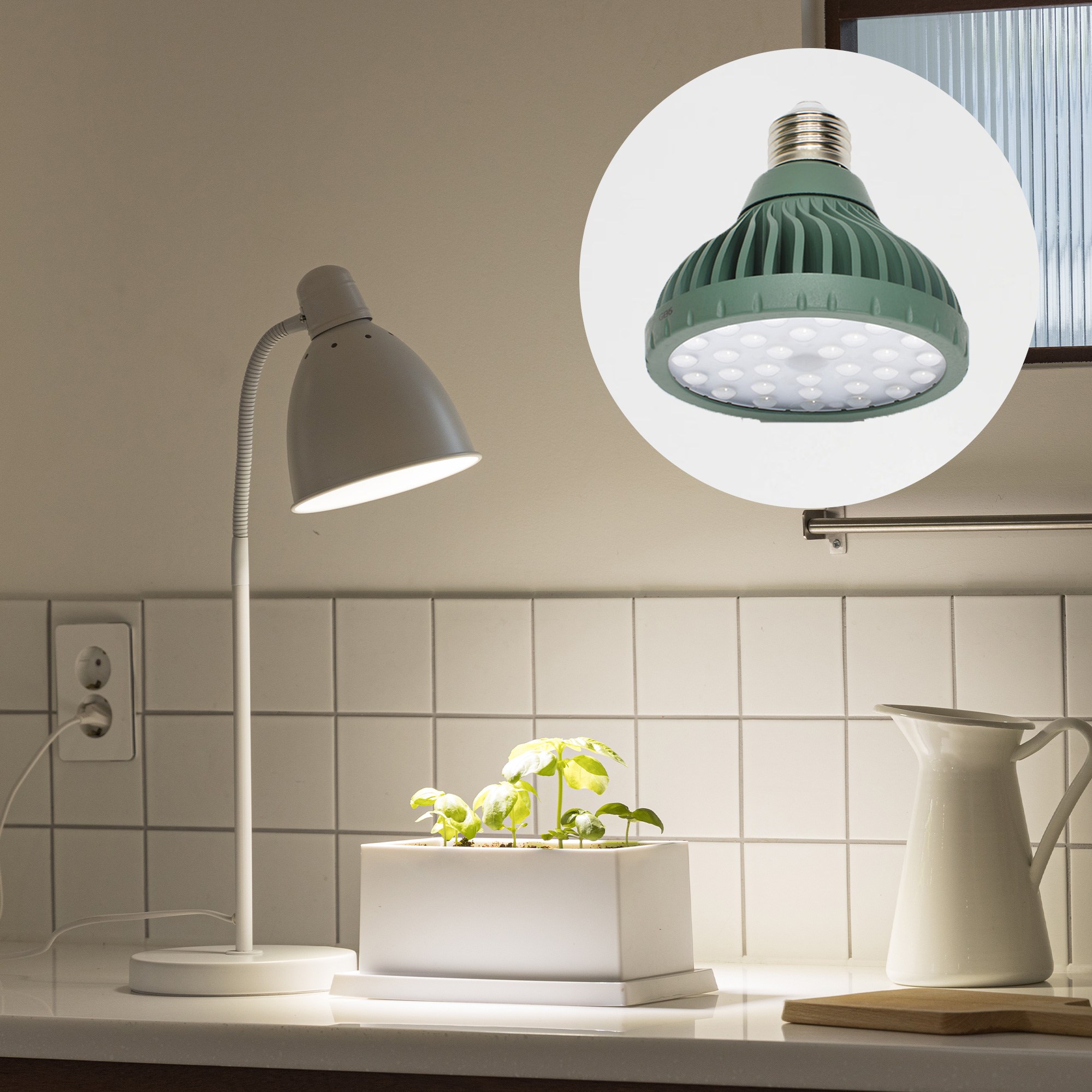 파미 식물등 생장 성장 램프 전구 조명 식물 LED _ 허브,목본 파장, 주백색, 1개 36,000원