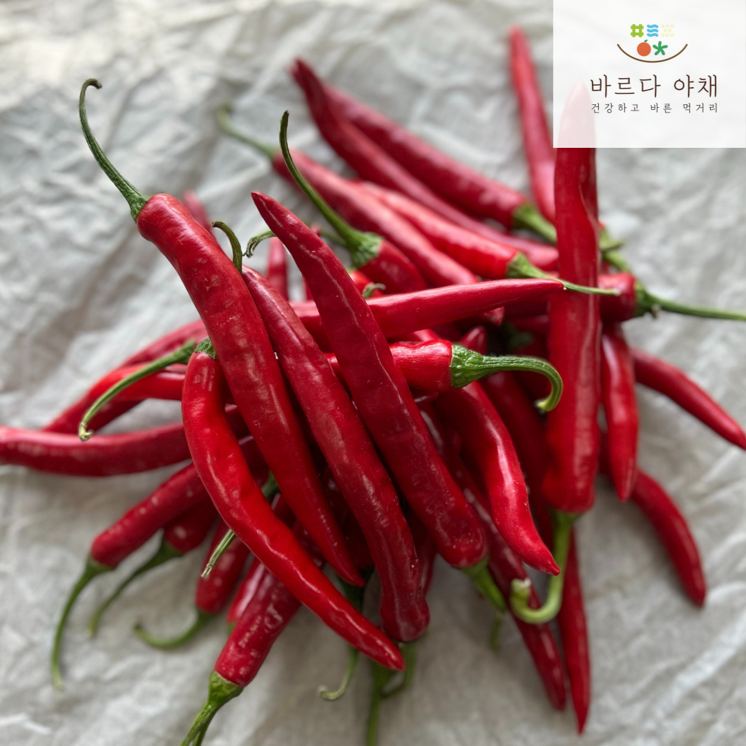 바르다야채 국내산 홍고추 특품, 1개, 1kg 25,900원