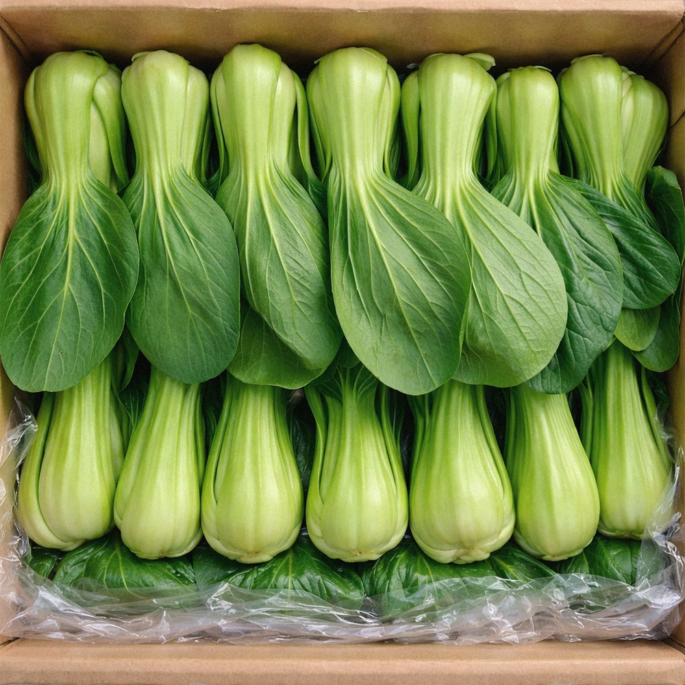 신선한 국산 청경채 샤브샤브 마라탕 가정용 업소용 벌크 [BZN], 1박스, 2kg 13,900원