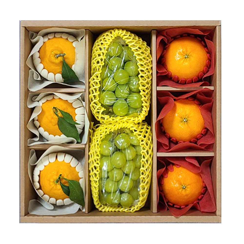 [이푸른] 명품 혼합 과일 선물세트 2호(한라봉3과 레드향3과+샤인머스캣2송이) 71,900원