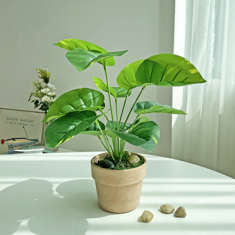 베누디 그리너리 보태니컬 화분 조화 14,900원