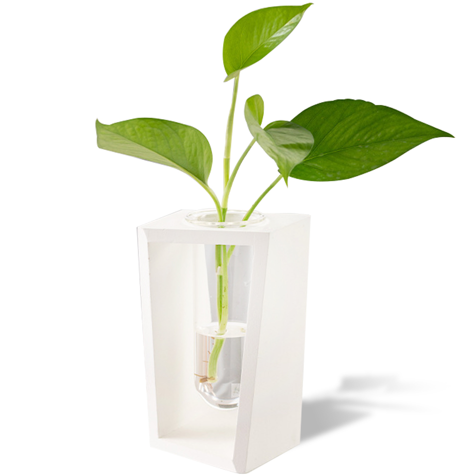 밍샴라이프 수경재배 원목화분 화이트, 1개 11,500원