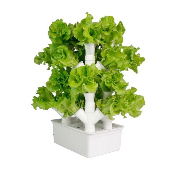 다홈 가정용 실내 수경 재배기 식물 야채 소형 상추키우기 무토 36,650원