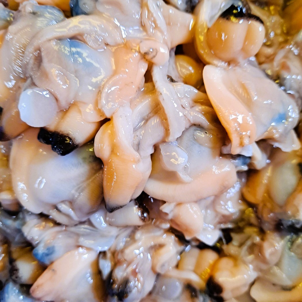 고흥 당일조업 자연종패 자연산 왕바지락 33,500원