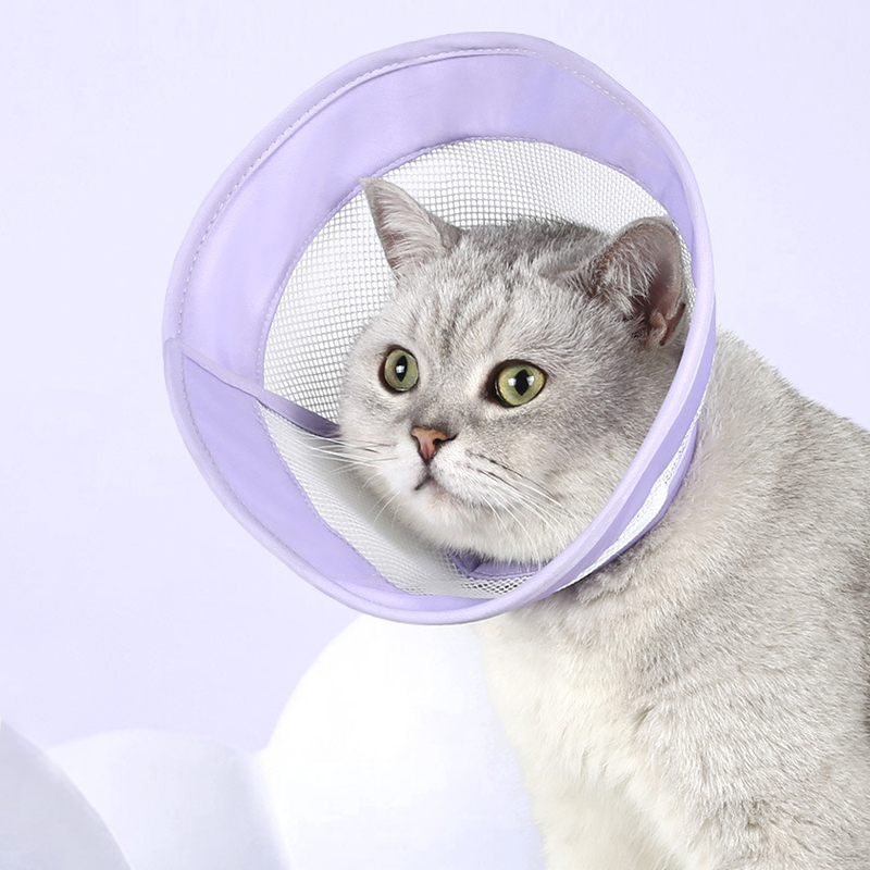 랜보어 반려동물 소프트 메쉬 넥카라 9,740원