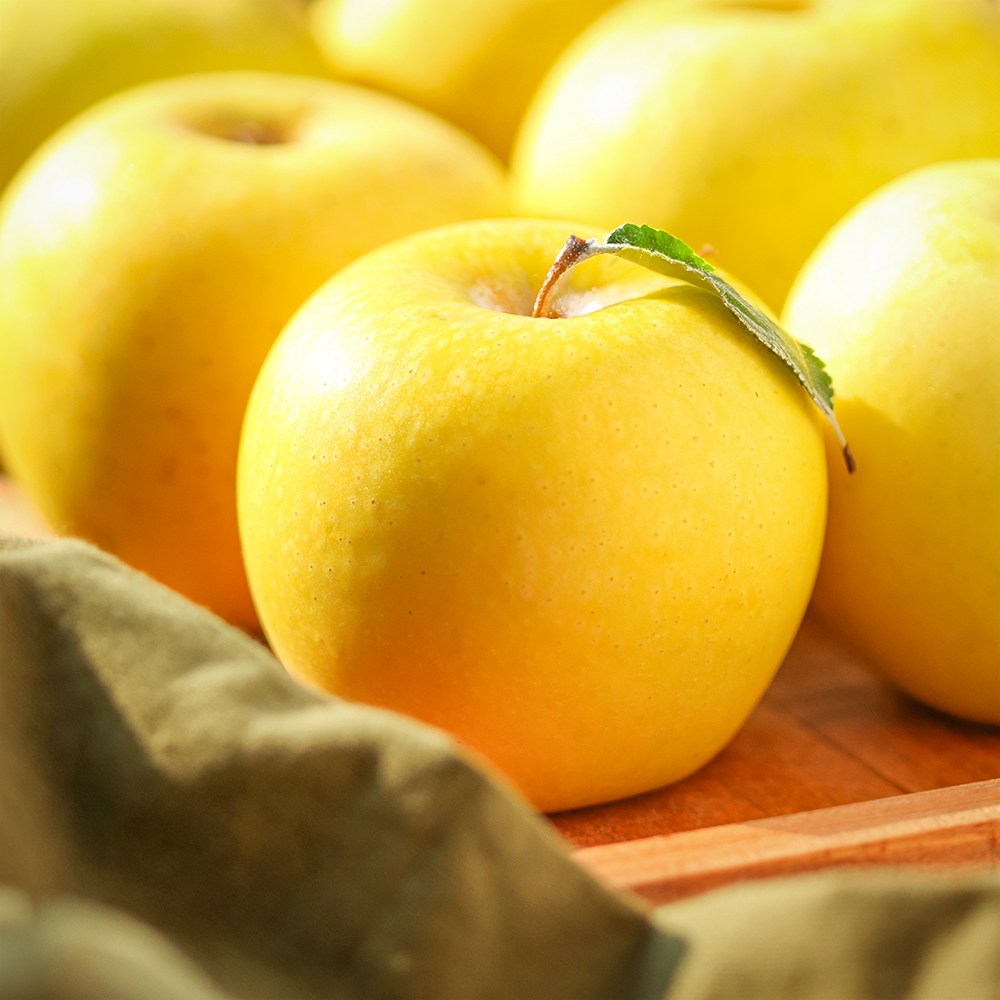 [300박스 한정수량] 백화점 납품용 시나노 골드 황금 사과, 1박스, 시나노골드 쥬스 10kg 랜덤(벌크) 34,600원