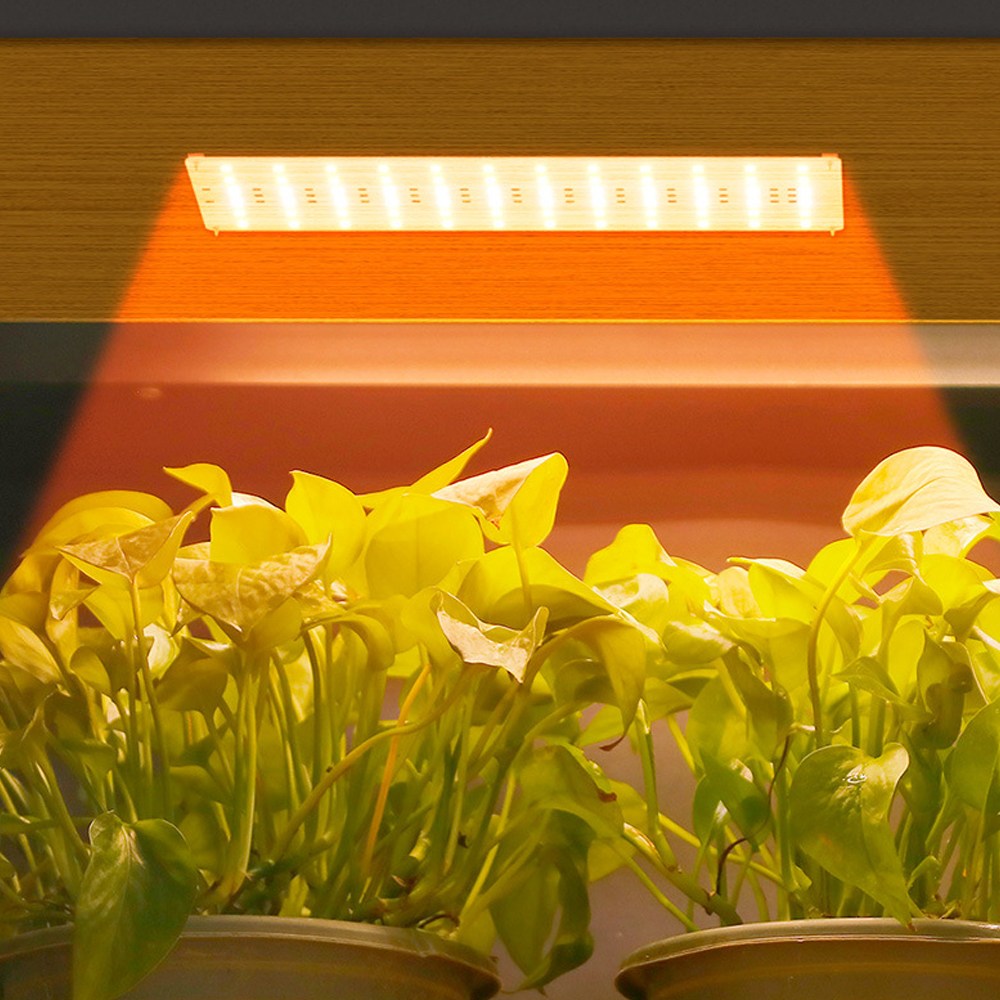 MMC led 조명 스탠드 식물등 성장 온실 자바라 생장 원예 다육용 햇빛 정원 재배기, 1개 13,000원