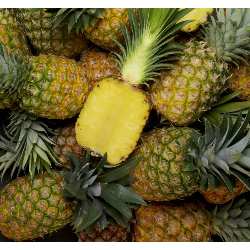 고당도 골드파인애플 6수(대과) 12kg 1박스 54,120원