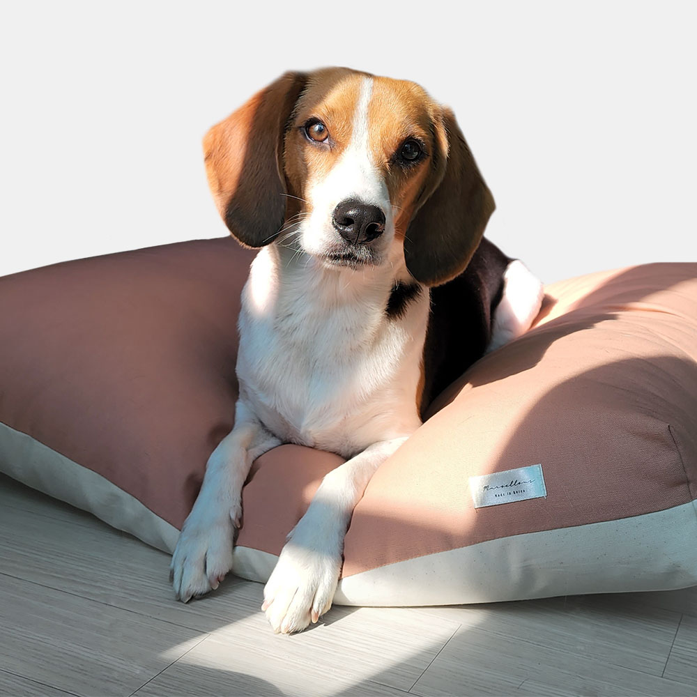 마벨러스홈데코 사계절 순면 강아지 고양이 방석 대형견 애견 쿠션 반려견 개 침대 마약방석 26,900원