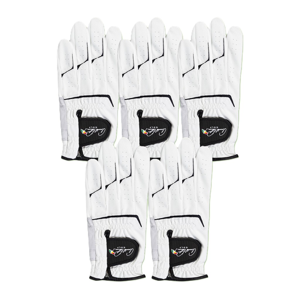 아놀드파마 양피덧뎀 골프장갑 (왼손), 블랙(5p), 5개 22,000원