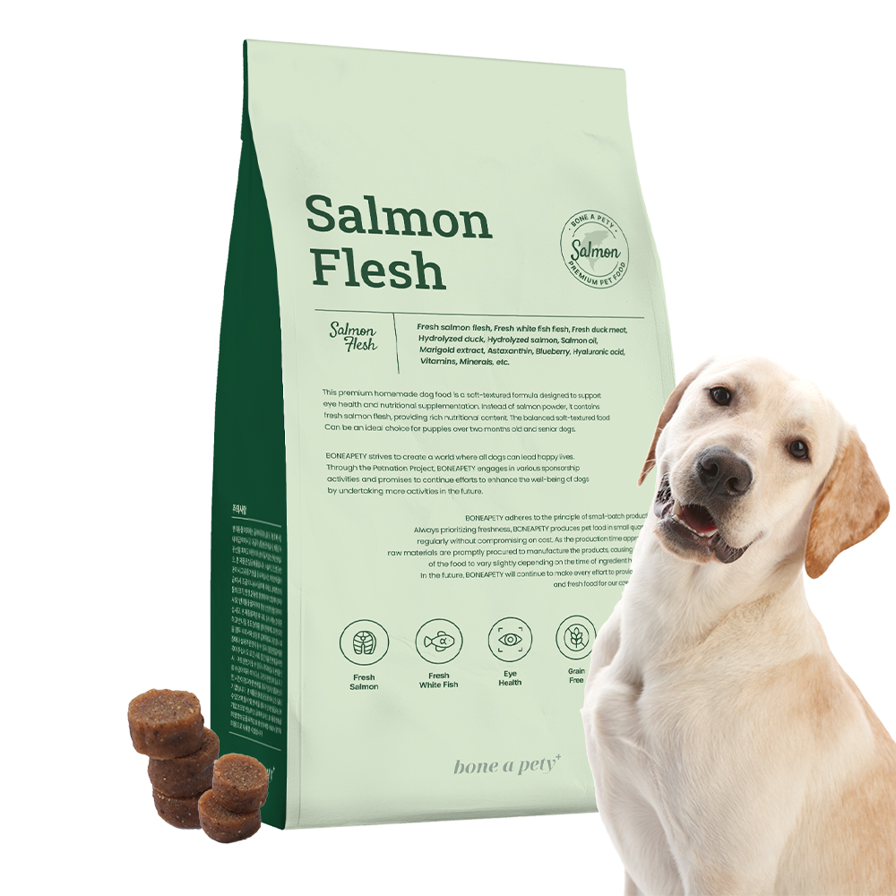 본아페티 플러스 강아지 기능성 스팀 수제사료, 연어, 1kg, 1개 32,400원
