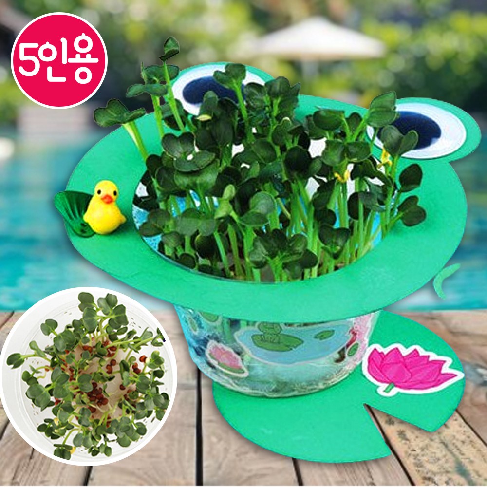 식목일 키트 5인용세트 무순 어린이집 식물키우기 키트 씨앗 새싹 키우기 유치원 9,990원