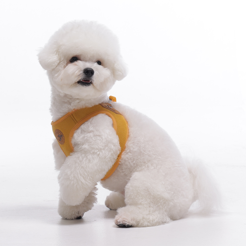 펫줄앤코 반려동물 이지 클립 하네스 X형 가슴줄 16,000원