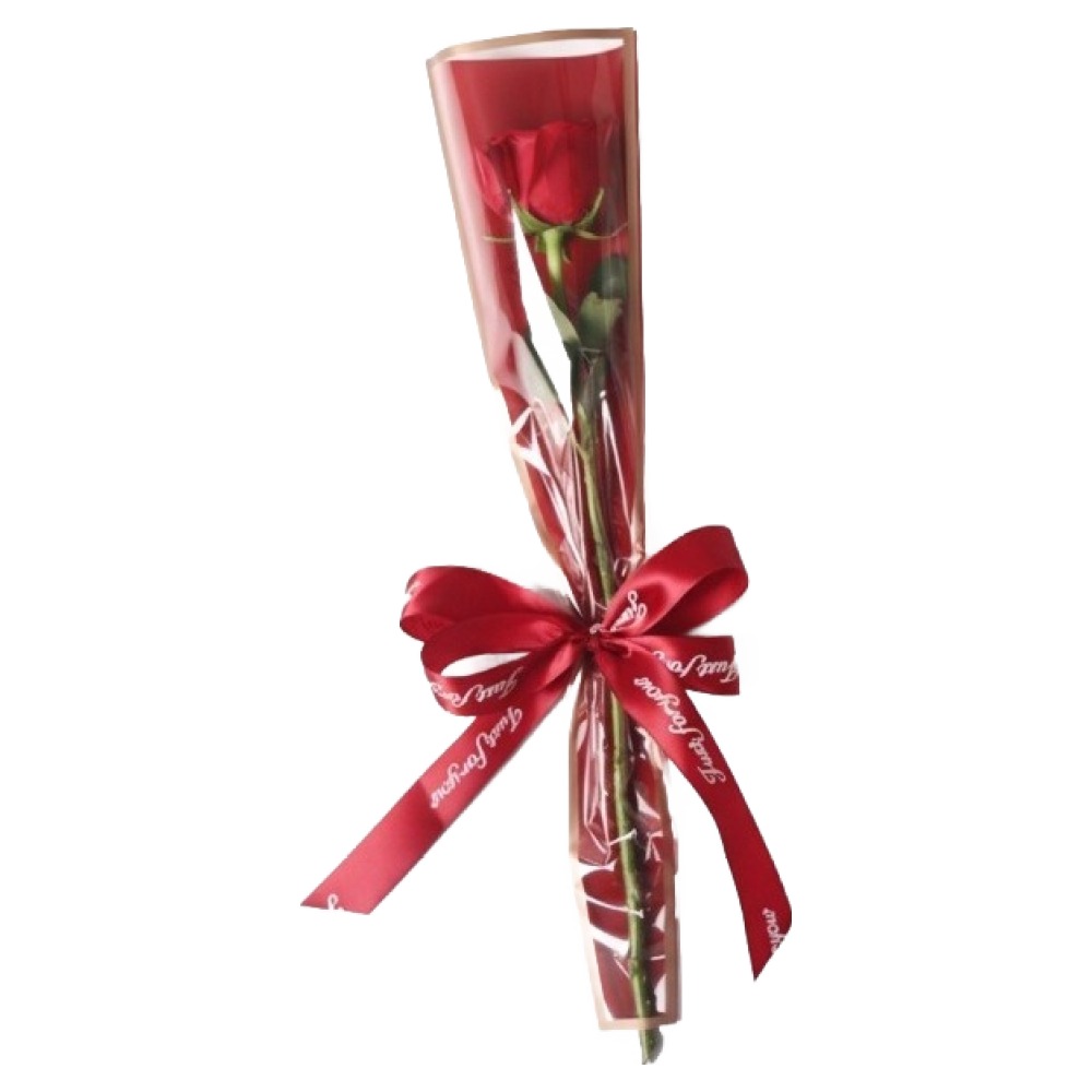 마다꾸미 금테 한송이 꽃 포장지 OPP 봉투, 레드, 100개 10,500원