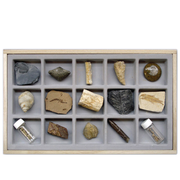 화석-화석표본 II 15종 132,830원