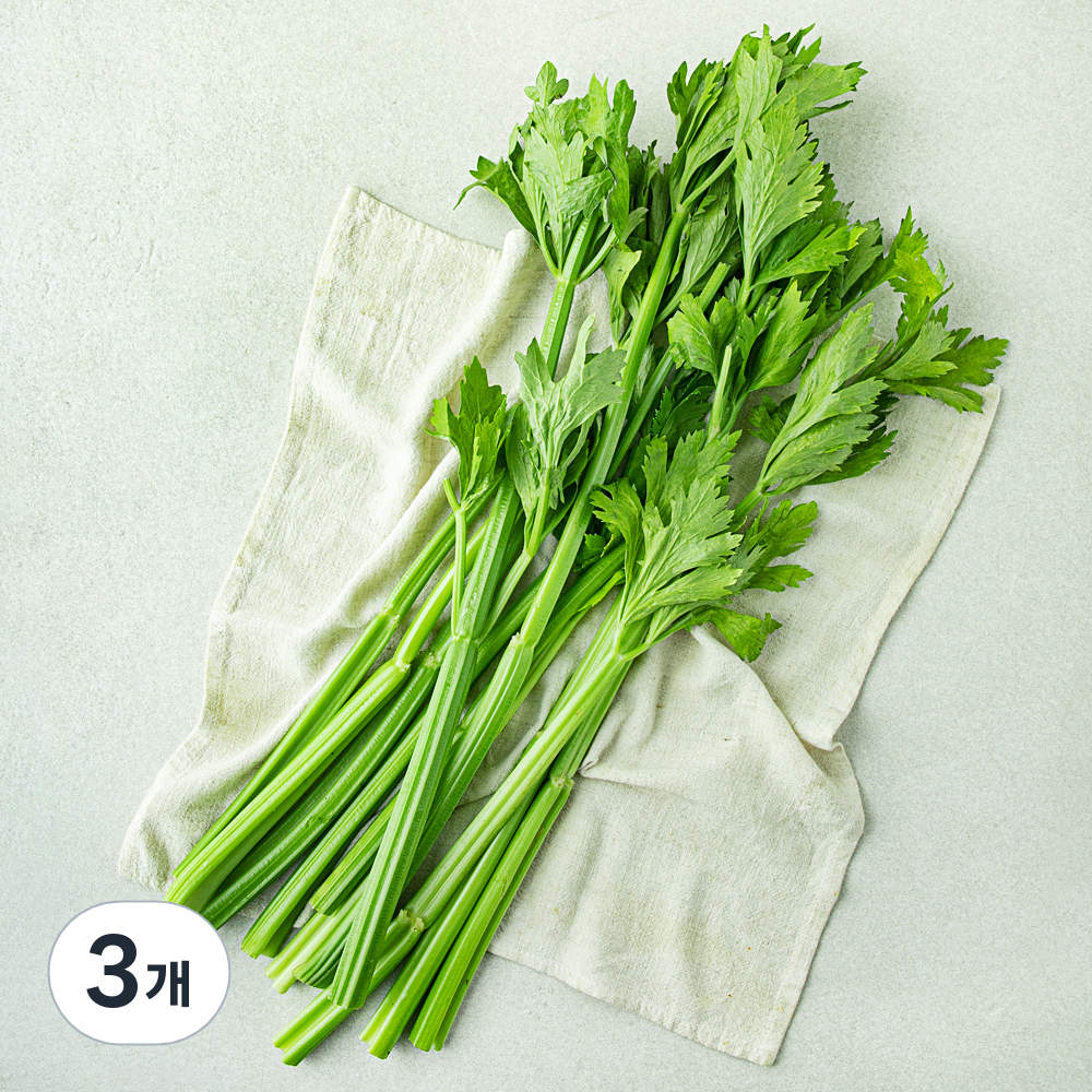친환경 주스용 셀러리 14,200원