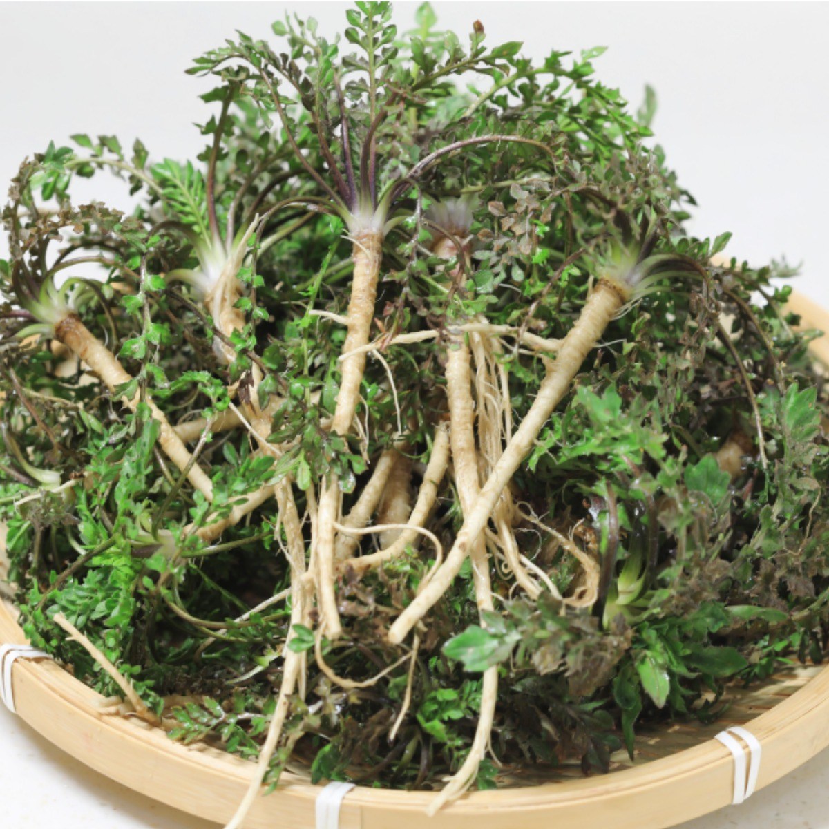 임프레시 여수 봄 제철 냉이 신선한 나물 47,890원