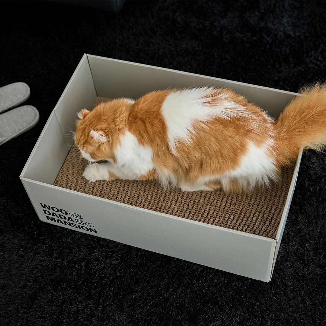 우다다맨숀 특대형 박스 스크래쳐, 웜그레이, 1개 14,110원