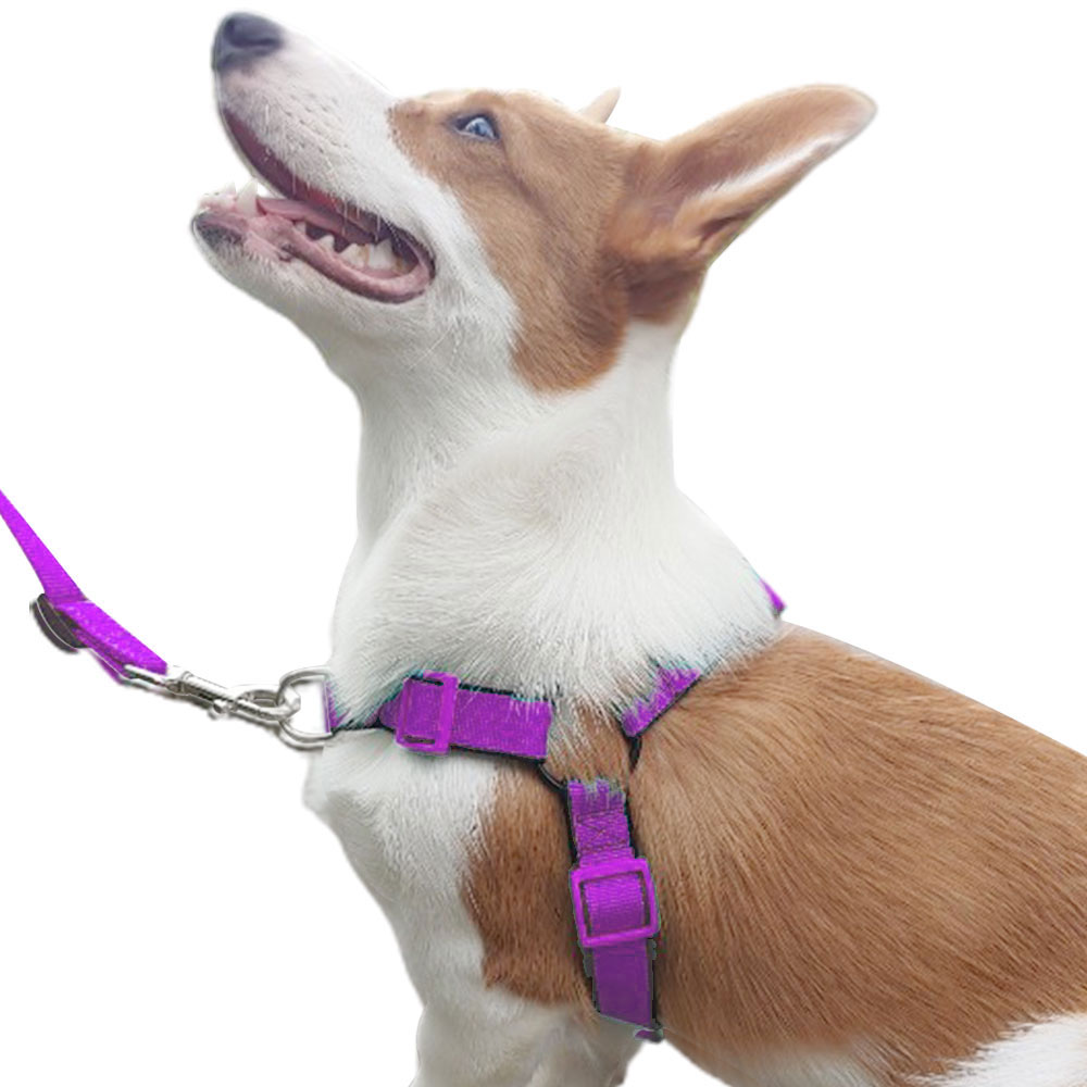 펫스츄리 중대형견용 이지워크 하네스 17,500원