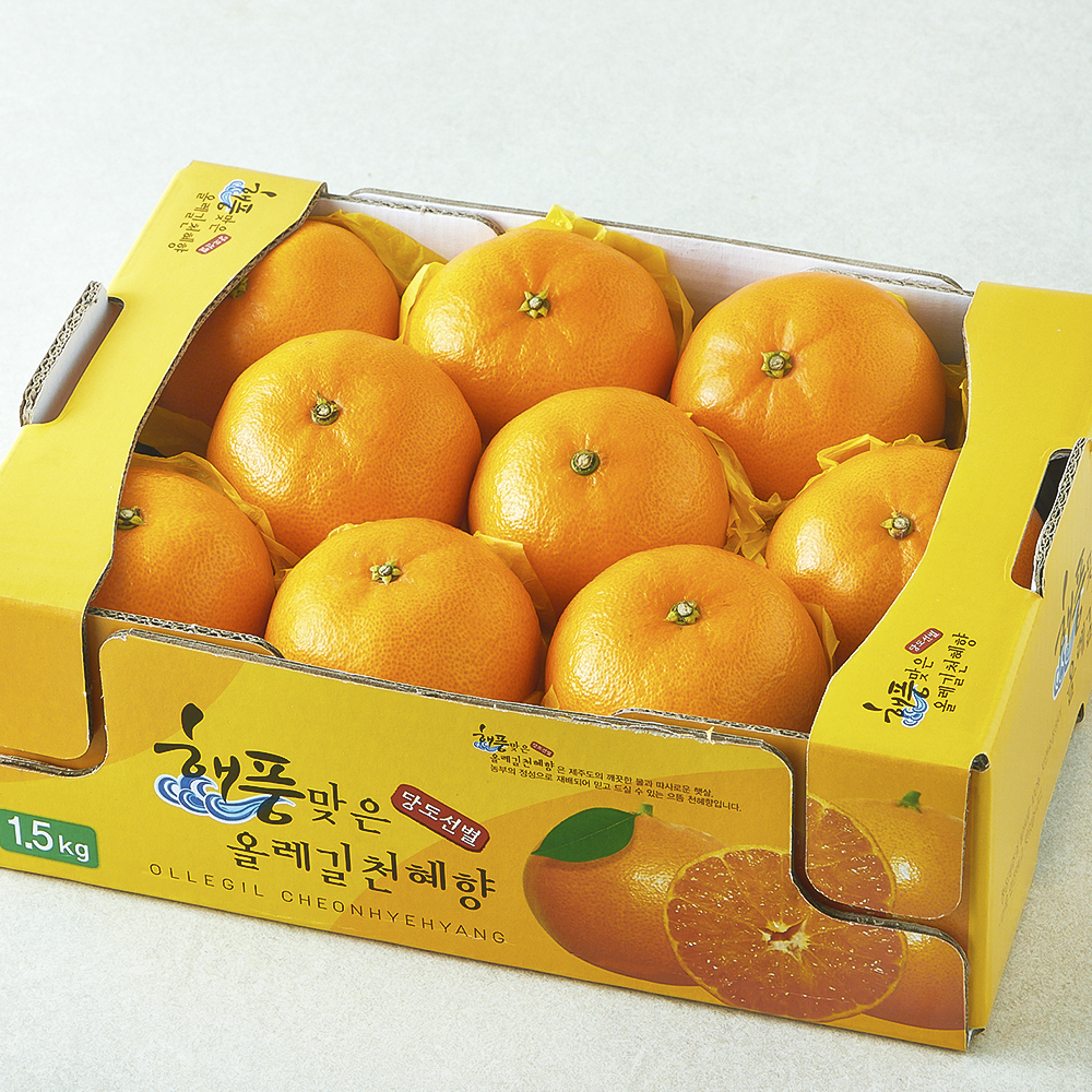 올레길 AI 당도선별 13.5brix 고당도 천혜향 12,550원