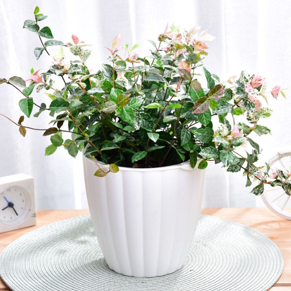 플리츠 자동급수 화분 심지 저면 관수 인테리어 포트, 상세페이지 참조, 1개 4,060원