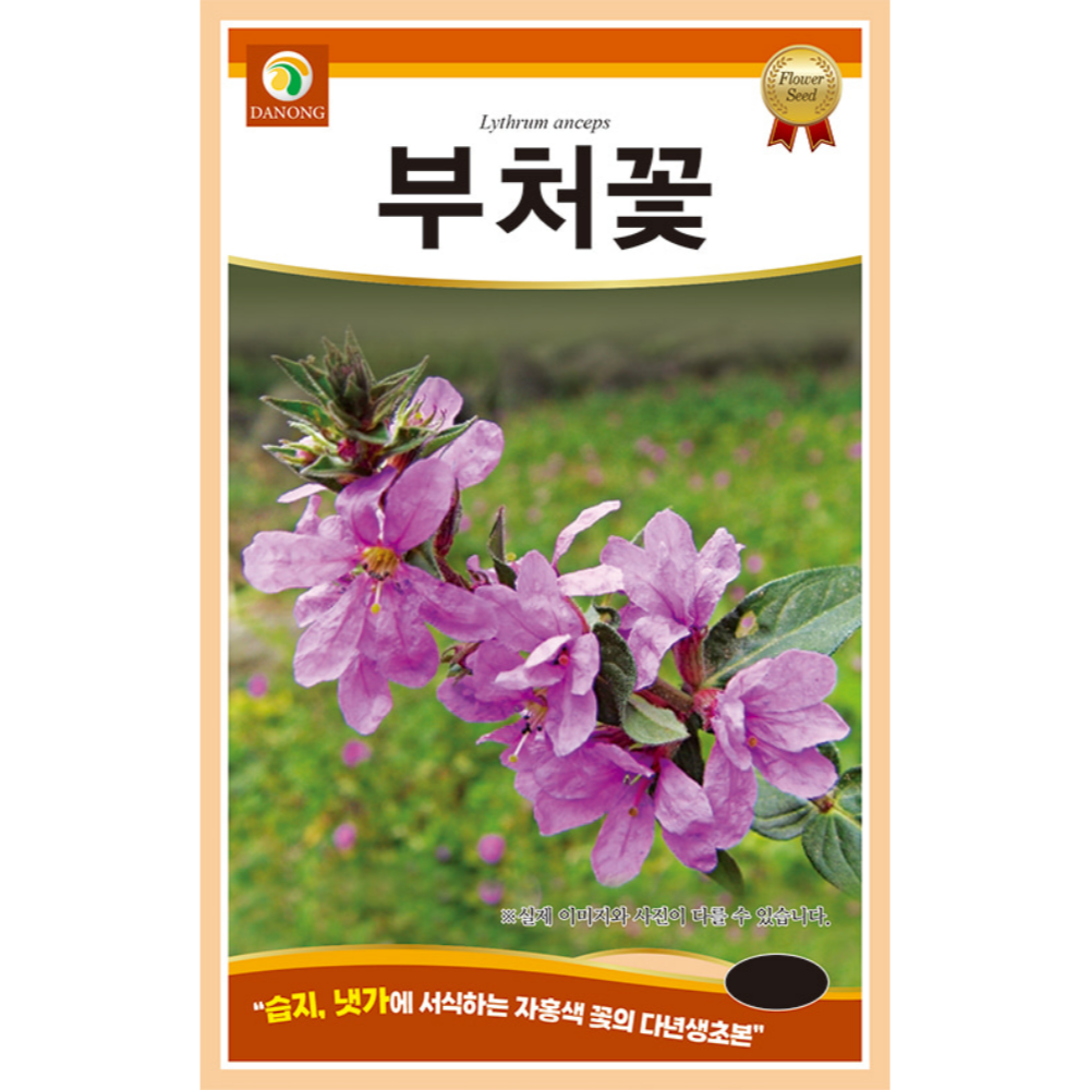 [주주씨앗] 부처꽃 씨앗 0.8g / 자홍색 다년생 야생화 꽃씨 씨앗몰, 1개 2,000원