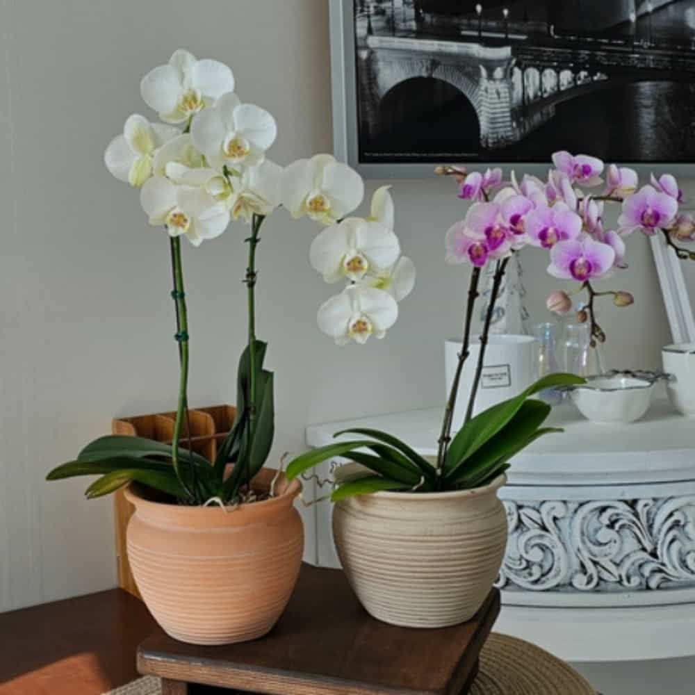 정원화분 원형 난간화분 가로줄항아리 화분 난간 정원 SG-5DM06-14389 98,820원