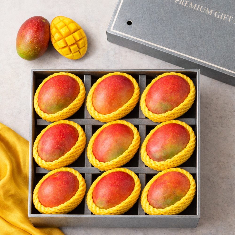 설명절페스타 골드 애플 망고 과일선물세트 30,090원