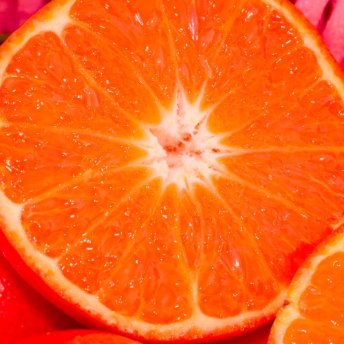 [감귤축제1위] 프리미엄 홍미향 제주명품귤 한정수량 홍매향 27,000원