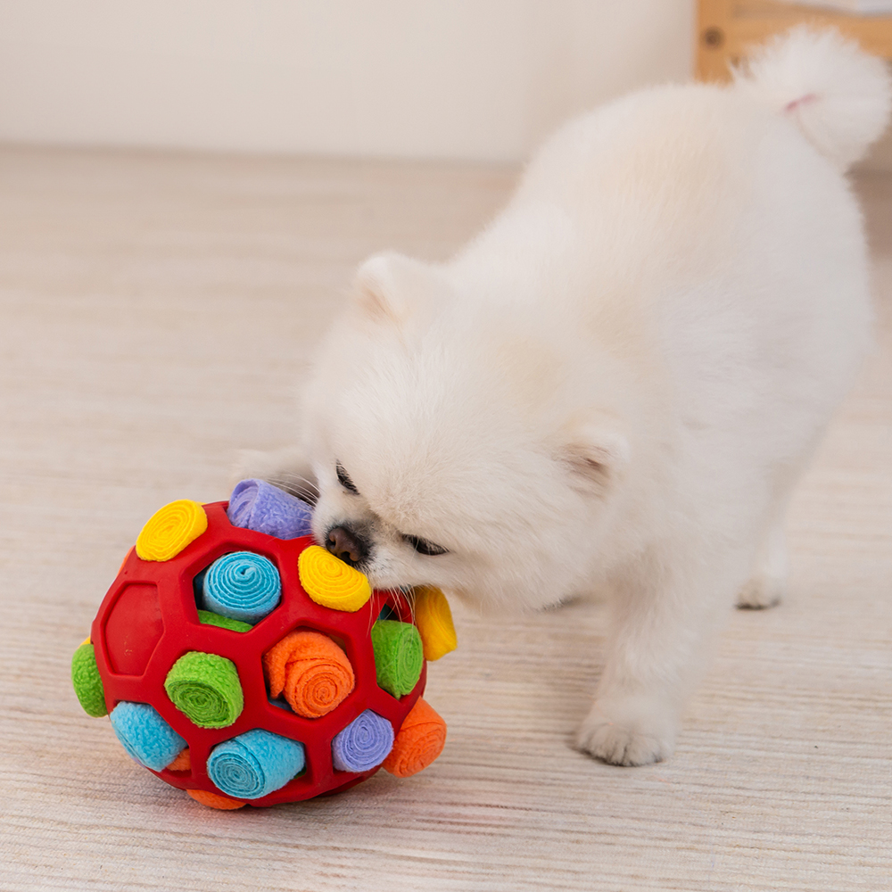 레토 축구공 터그 노즈워크 강아지 장난감 10,100원