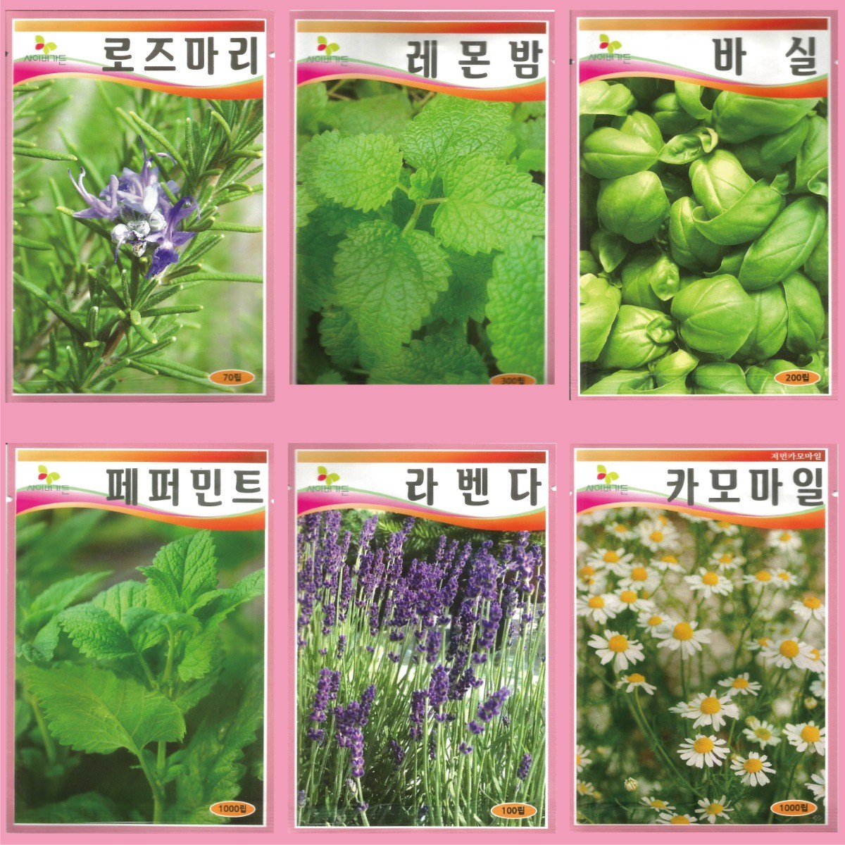허브 씨앗 6종 세트 (로즈마리+바질+레몬밤+페퍼민트+라벤더+카모마일) 21,000원