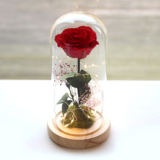 더봄 한송이 장미 유리돔 프리저브드 플라워 41,280원