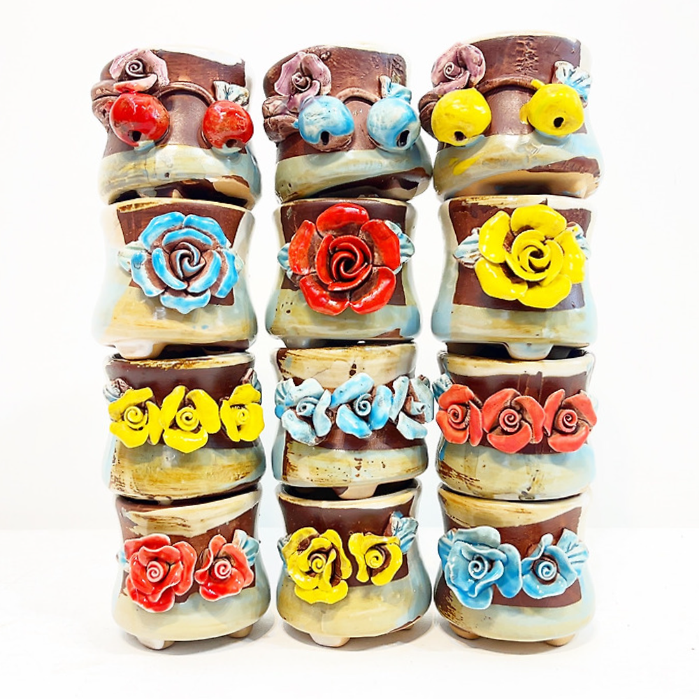 무배 구구주니어 12종세트 다육화분 베란다 다육이 튼튼하게 키우기 좋은 행복한꽃그릇 39,600원