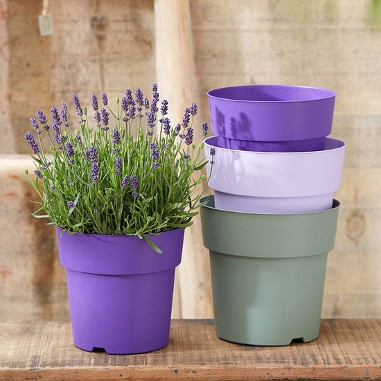 마이플랜트 데쉬 플랜트팩 줄리엣 네덜란드 수입 플라스틱 컬러 화분 5,530원