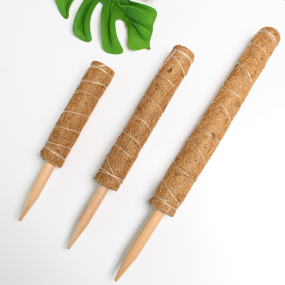 세경팜 몬스테라 수태봉 소 20cm 연결형 코코넛 식물지지대 원목 코팅 식물지주대 21,000원