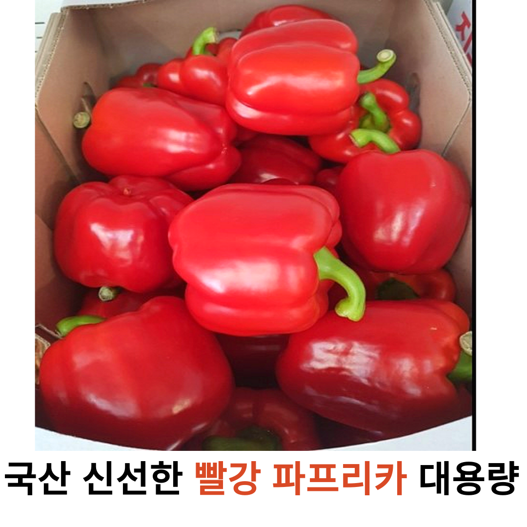 국내산 신선한 빨강 파프리카 1kg 2kg 3kg 5kg 가정용 업소용 대용량 싱싱한 국산 파프리카 못난이 빨강 피망, 1개, 1kg 11,880원