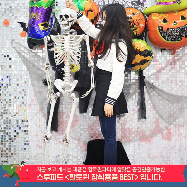 할로윈데이 할로윈 장식*데코용품 BEST 기획전! 스투피드 할로윈장식 116,000원