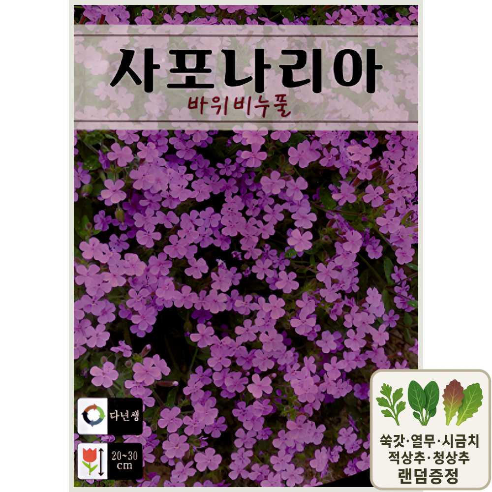 사포나리아 바위비누풀 씨앗 40립 다년생 초화류 ks 3,000원