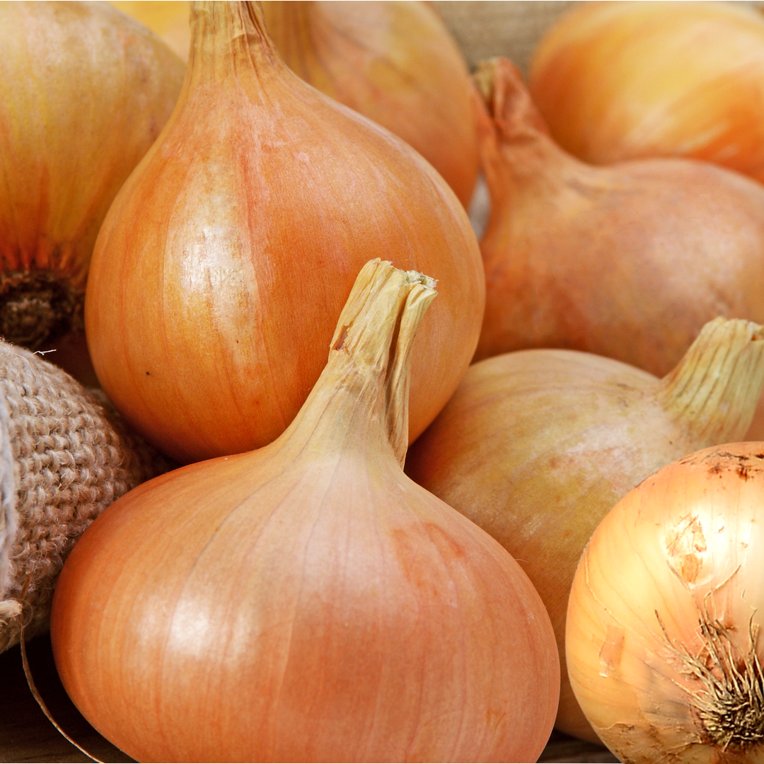 국내산 무안양파 단단한 햇 양파, 1박스, 10kg(대) 18,100원